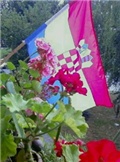 Zastava i cvujeće